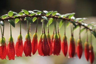 珠海香洲区9私人快速借钱网，轻松解决资金难题