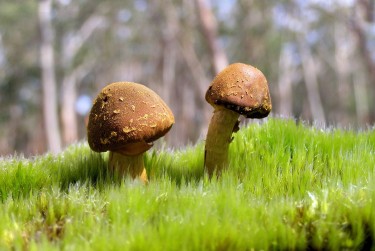 珠海香洲区9私人老板放款：轻松融资的秘密通道